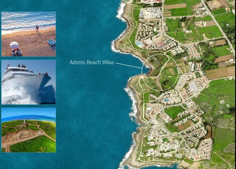 1585226838936500.jpg 4.jpg