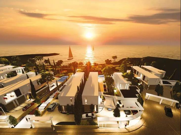 1585227275258621.jpg 10.jpg