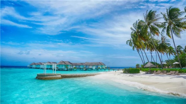 1587106695362155.jpg 640 (12).jpg