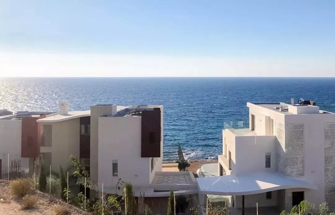 1588060872786620.jpg 640 (8).jpg