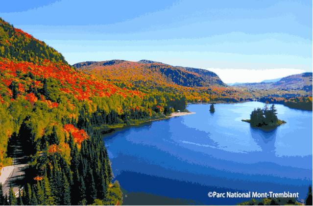 1588844290982157.gif 640.gif