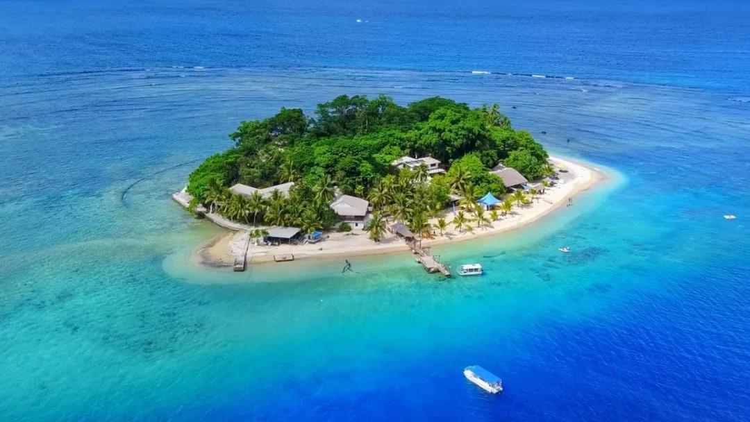 1590461979109670.jpg 7.jpg