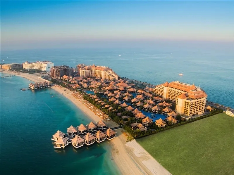 1591934371436686.jpg 1591934371436686.jpg