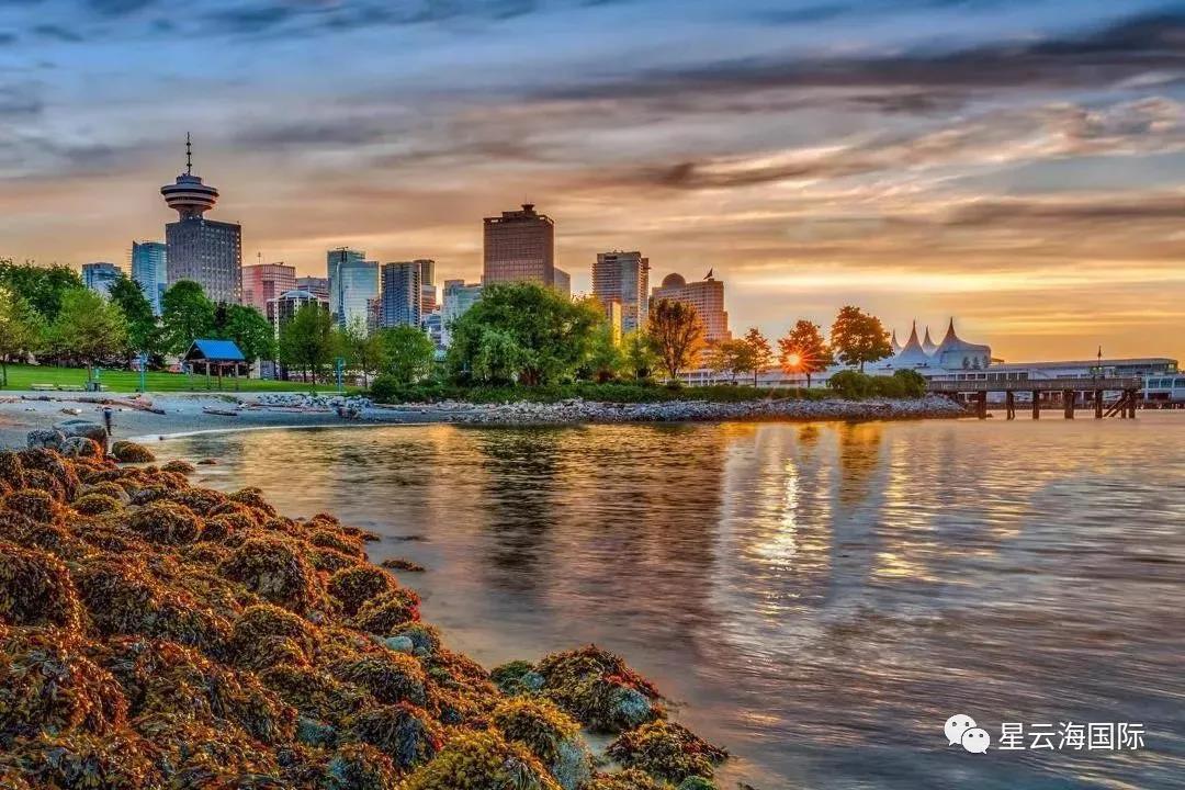 1594088086845918.jpg 1594088086845918.jpg