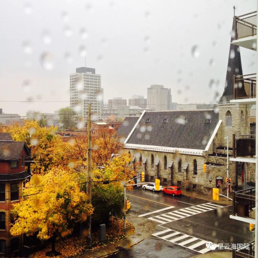 1594088172967913.jpg 1594088172967913.jpg