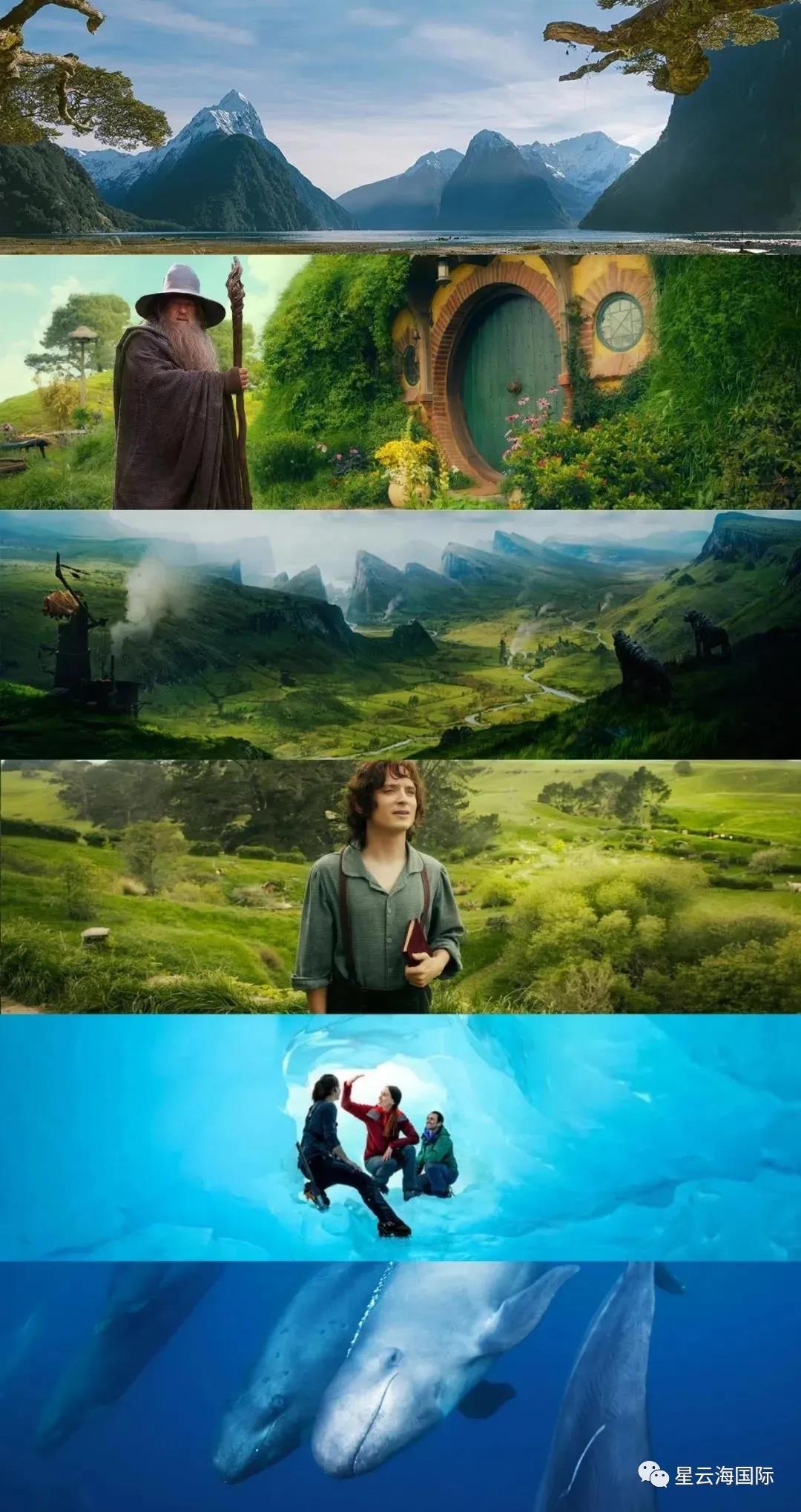 1594174314125867.jpg 1594174314125867.jpg