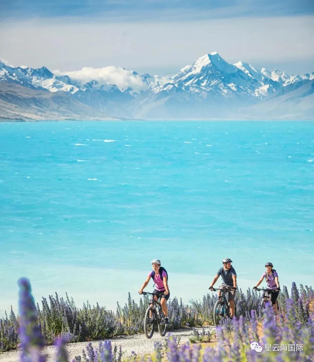 1594174864140464.jpg 1594174864140464.jpg