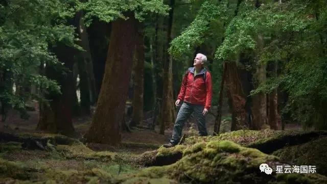 1594175138120437.jpg 1594175138120437.jpg