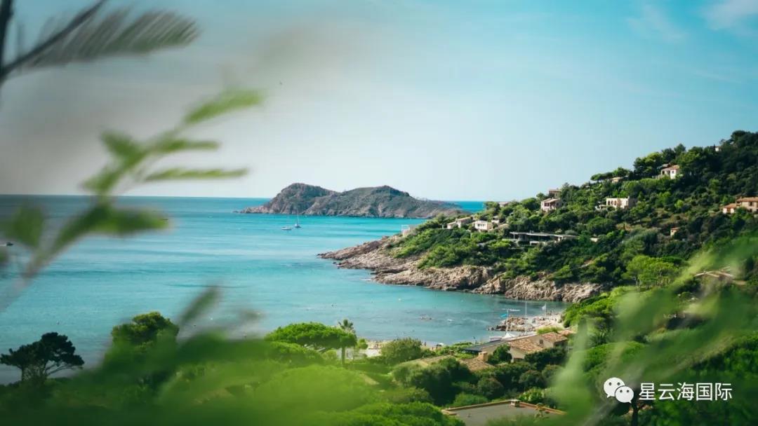 1594607986621895.jpg 1594607986621895.jpg