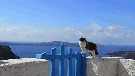 1595817515372397.gif 1595817515372397.gif