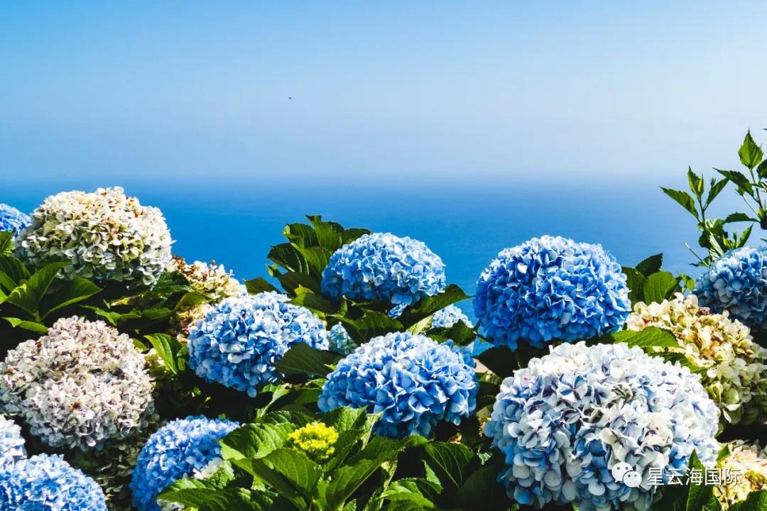 1595989021202249.jpg 1595989021202249.jpg