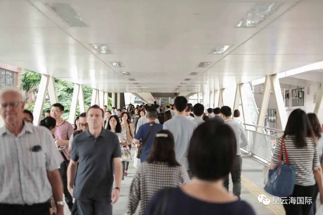 1596071967668025.jpg 1596071967668025.jpg