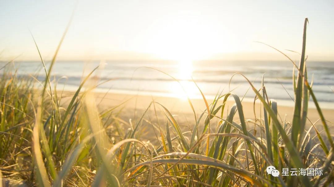 1598837240267313.jpg 1598837240267313.jpg