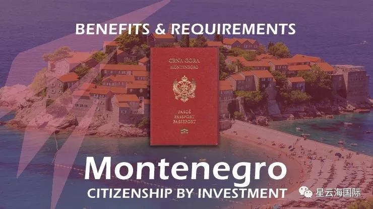 1599701383139883.jpg 1599701383139883.jpg