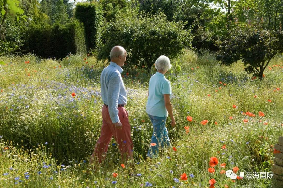 1600065308750904.jpg 1600065308750904.jpg