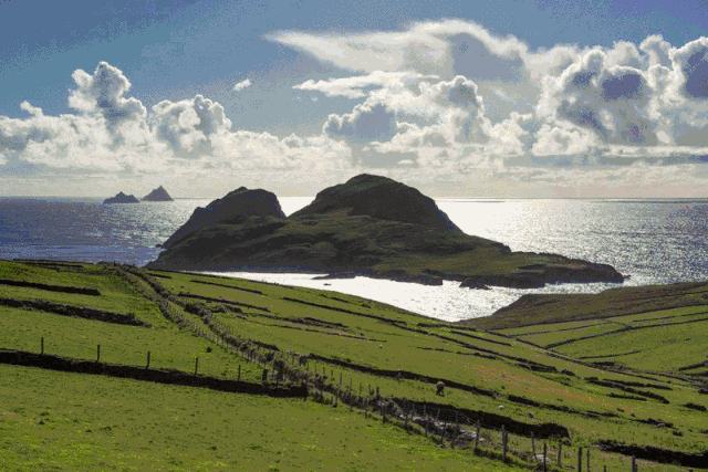 1602208845175096.gif 微信圖片_20201009095455.gif