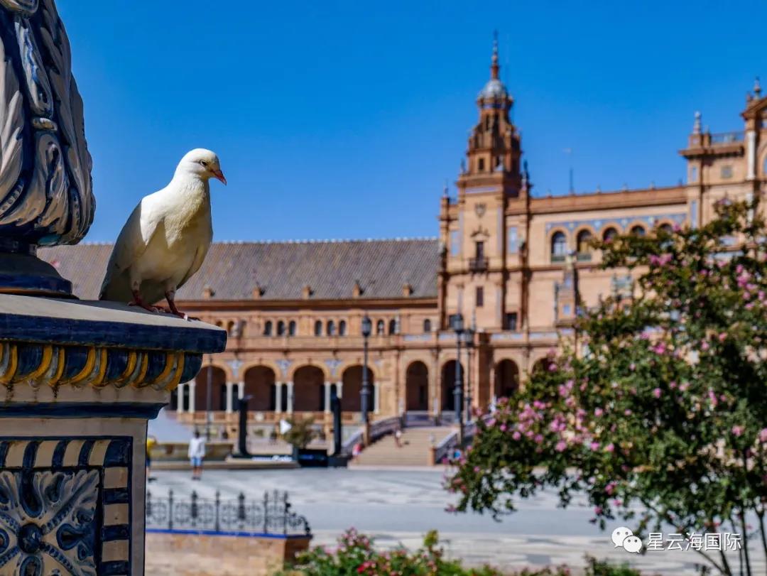 1603765236248981.jpg 微信圖片_20201027100833.jpg