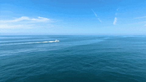 1604296652566298.gif 微信圖片_20201102135153.gif