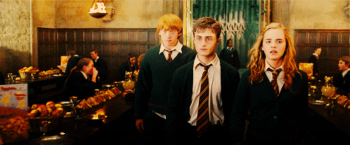 1604547717202636.gif 微信圖片_20201105112730.gif