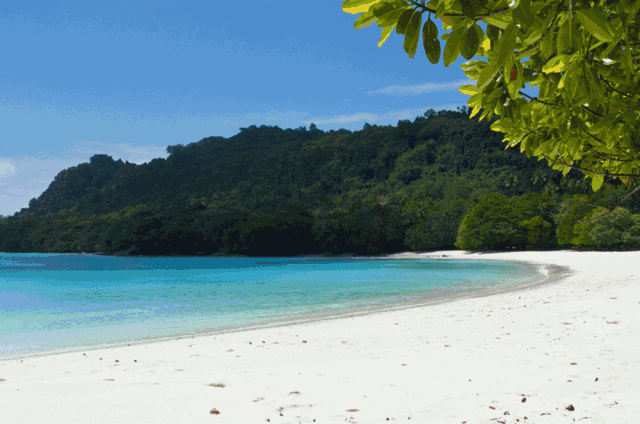 1604904876513799.gif 微信圖片_20201109145206.gif