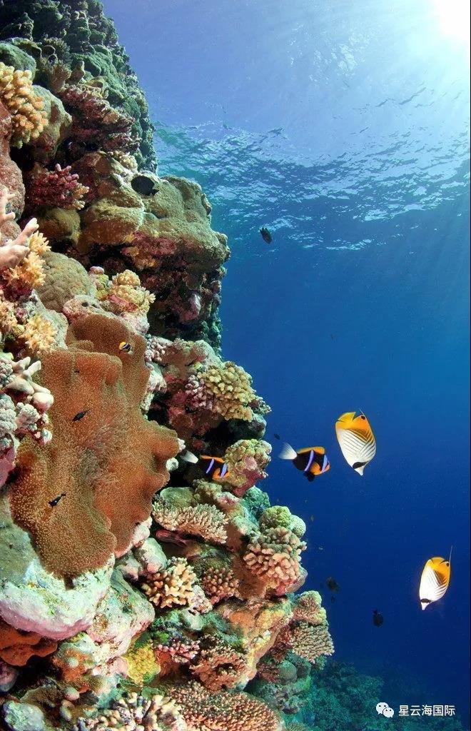 1604905464121091.jpg 微信圖片_20201109145254.jpg