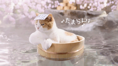 1606716511652663.gif 微信圖片_20201130140107.gif