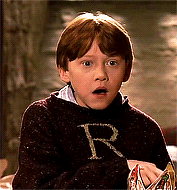 1608018333528860.gif 微信圖片_20201215154053.gif