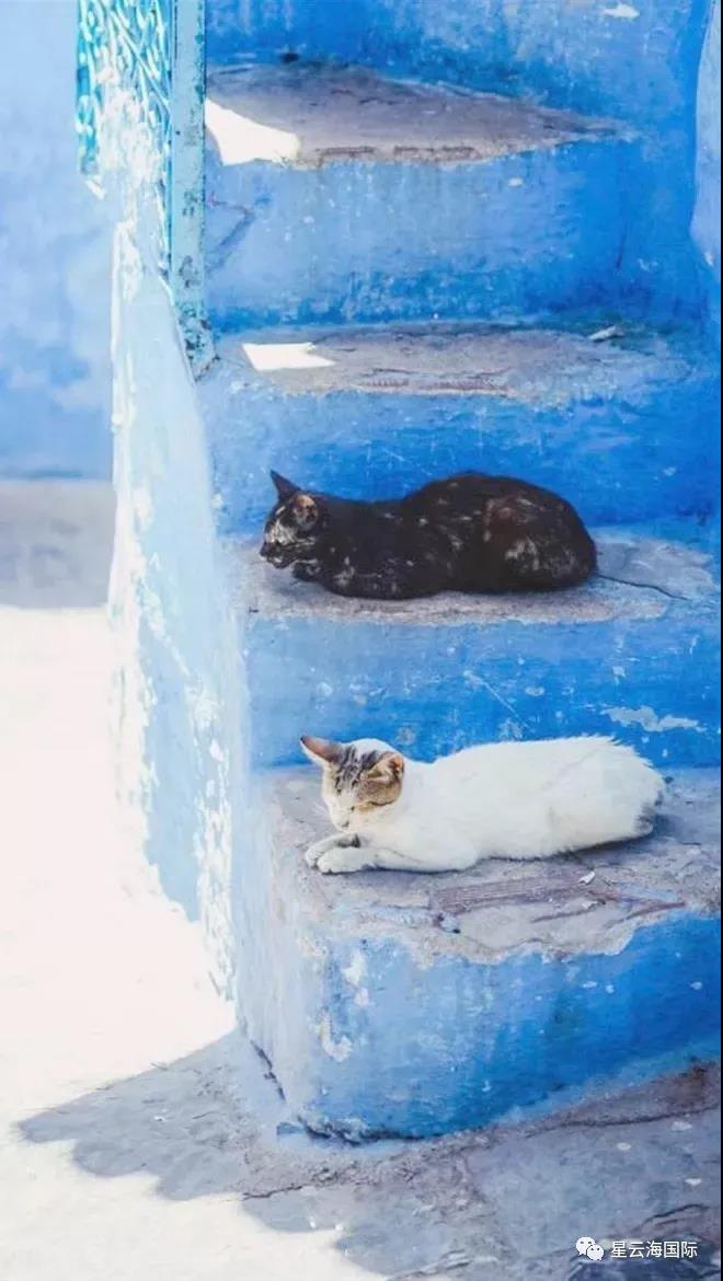 1608603363812741.jpg 微信圖片_20201222100726.jpg