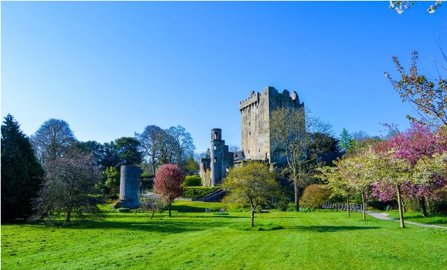 1586092500103117.png 微信截圖_20200405211344.png