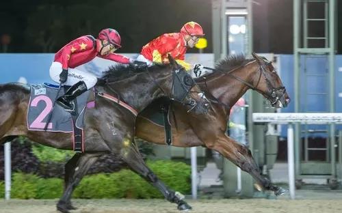 1586439043930863.jpg 0.jpg