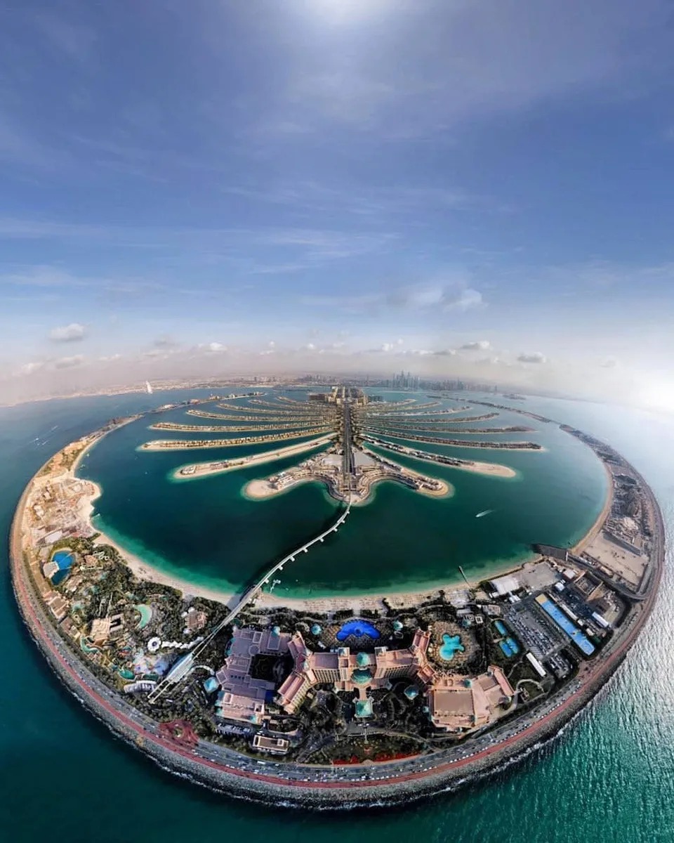 1587621110738640.jpg 640 (6).jpg