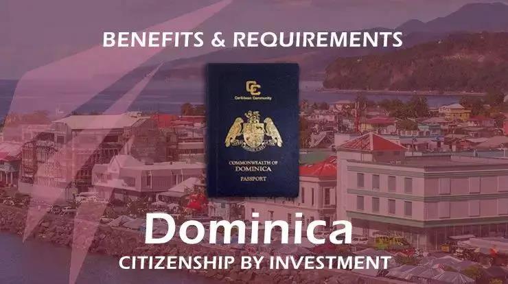 1591236864544524.jpg 1591236864544524.jpg