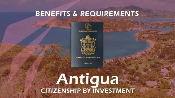 1591236912316713.jpg 1591236912316713.jpg