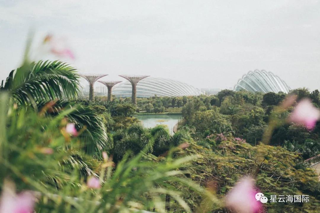 1598574985105574.jpg 1598574985105574.jpg