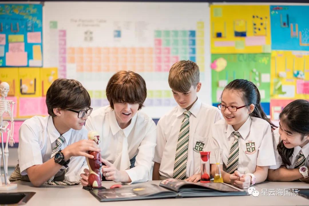 1613725498135618.jpg WeChat picture_20210219165646.jpg