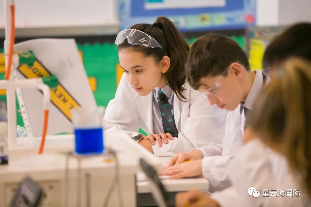 1613725536418828.jpg WeChat picture_20210219165649.jpg