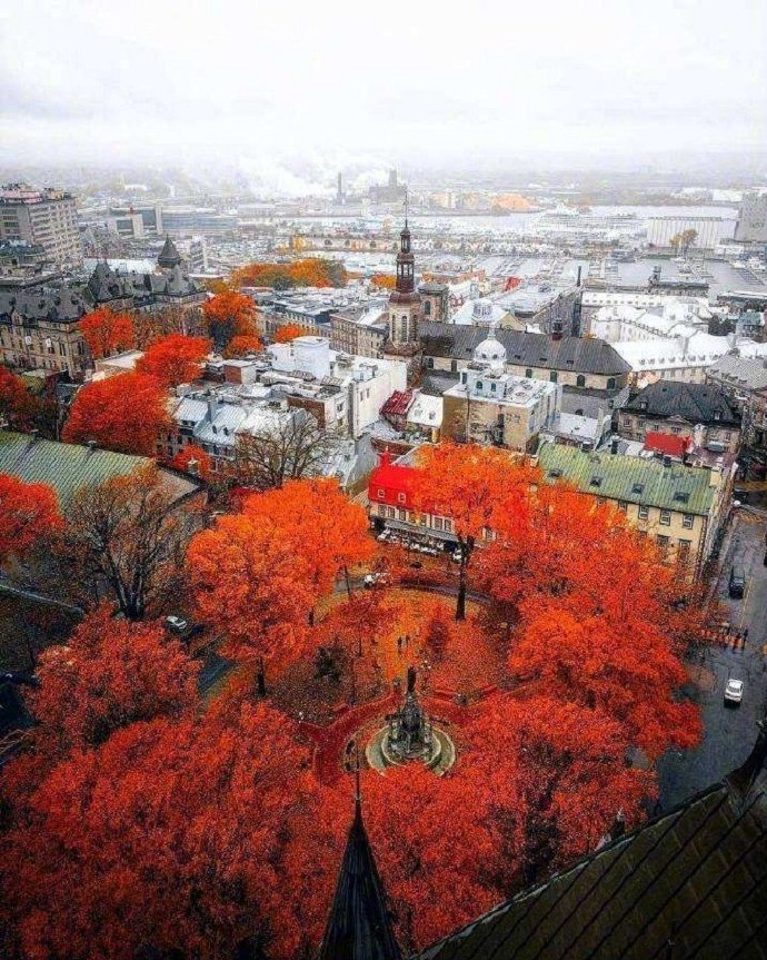 1614570285136359.jpg Quebei.jpg