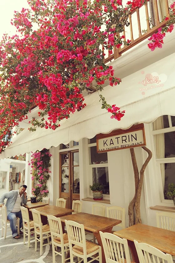 1616378592854826.jpg webp.webp.jpg