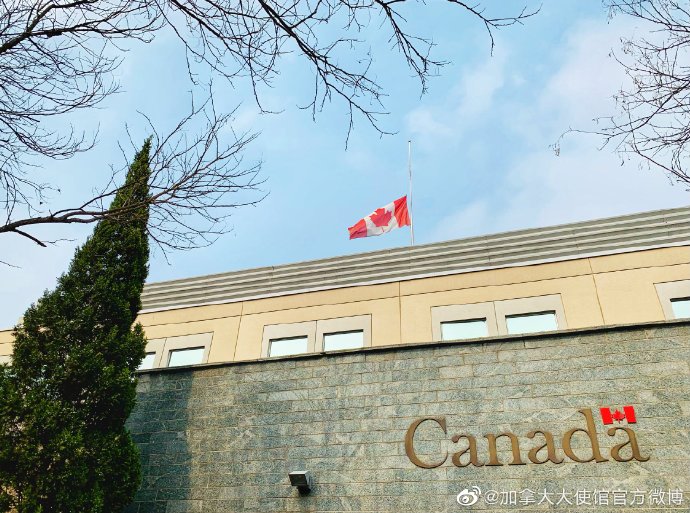 1616644879121289.jpg 810ca80dly1gog17gaonpj214d0u0b2c.jpg