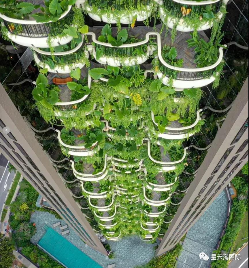 1617259048108224.jpg 微信圖片_20210401142740.jpg