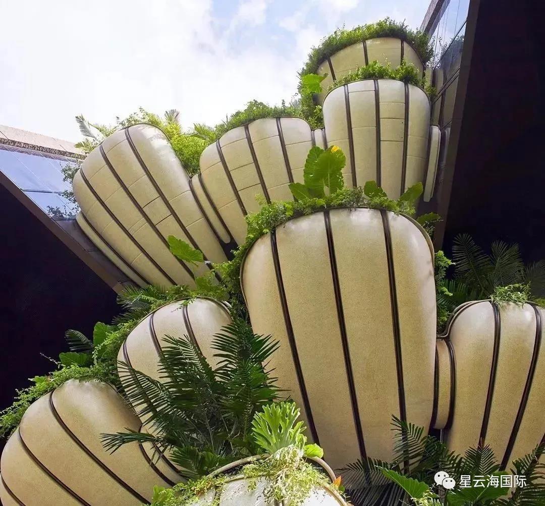 1617259588209091.jpg 微信圖片_20210401142754.jpg