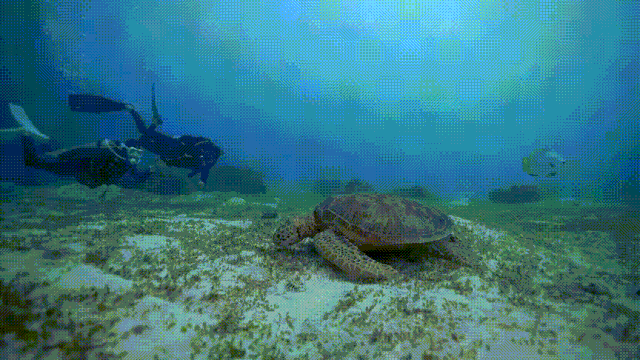 1619320211588158.gif 微信圖片_20210425110445.gif