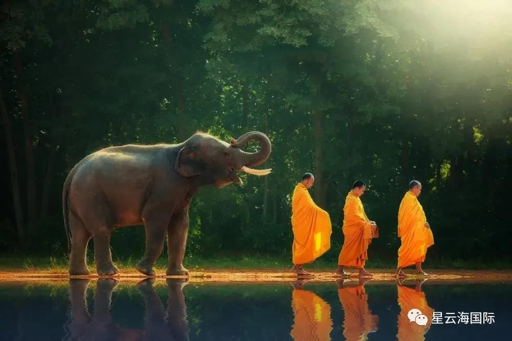 1619321111962879.jpg WeChat picture_20210425111834.jpg