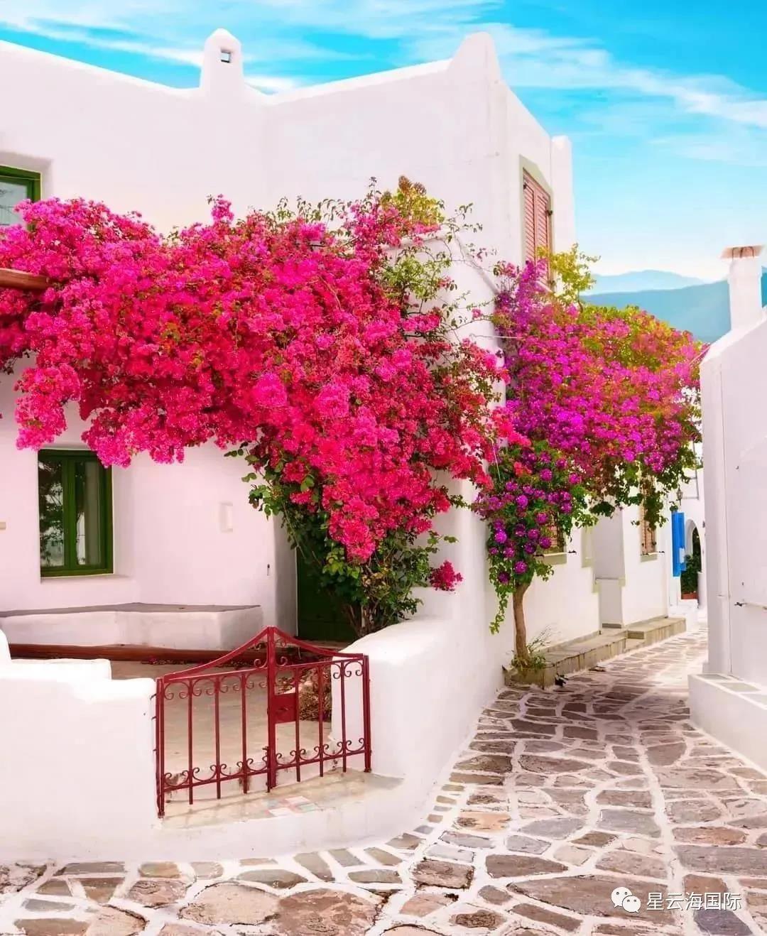 1619321389676674.jpg WeChat picture_20210425111850.jpg