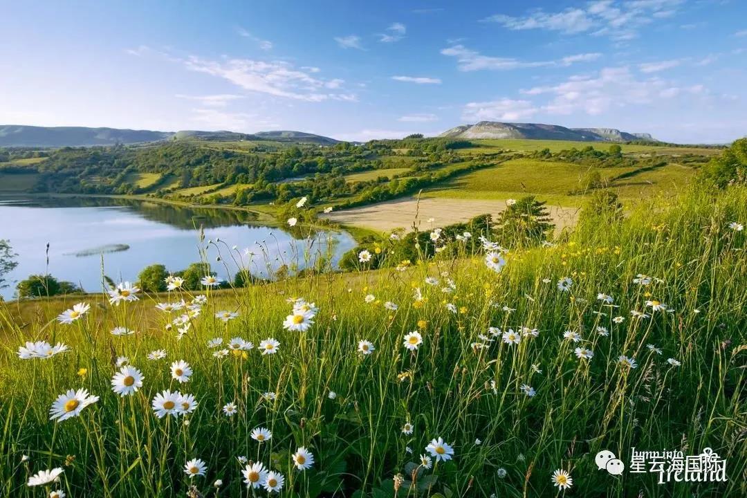 1619765204322867.jpg WeChat picture_20210430144424.jpg