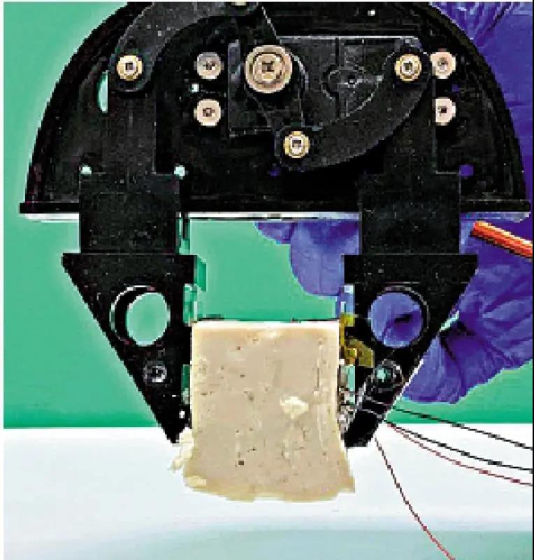 1621925333725085.jpg WeChat picture_20210525144342.jpg