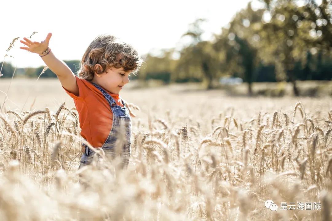 1625821972548827.jpg WeChat picture_20210709170312.jpg