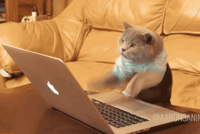 1628497192137895.gif WeChat picture_20210809161632.gif