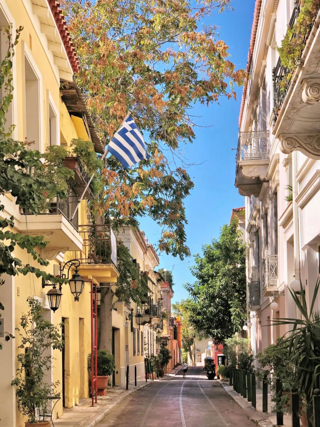 1629690500335475.jpg WeChat picture_20210817162540.jpg