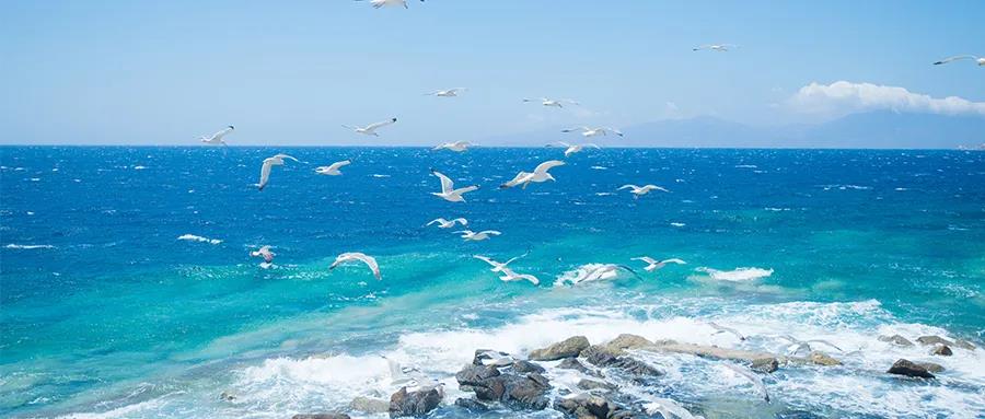 1630305399640355.jpg WeChat picture_20210825163156.jpg